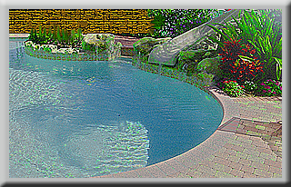 Pro Tech Pools Online